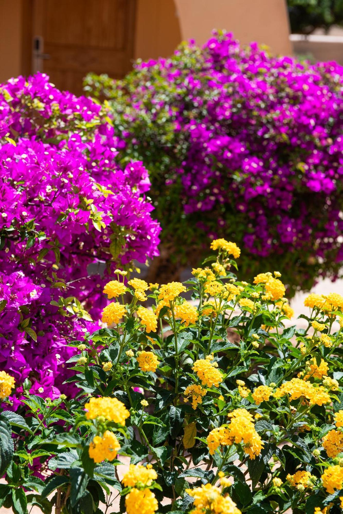 Paz y Mar Villa Santa Ponsa Exterior foto